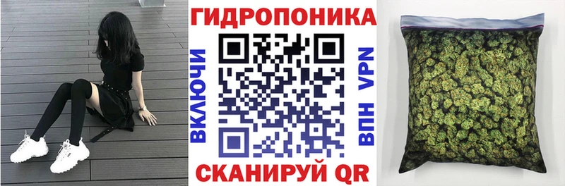 Бошки Шишки Amnesia  где купить наркоту  ОМГ ОМГ зеркало  Сухой Лог 